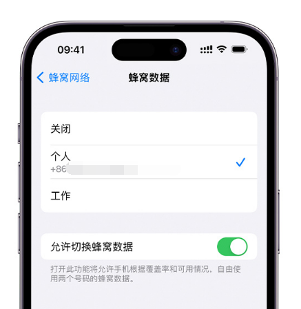 长春苹果维修服务分享如何在iPhone上使用双卡 